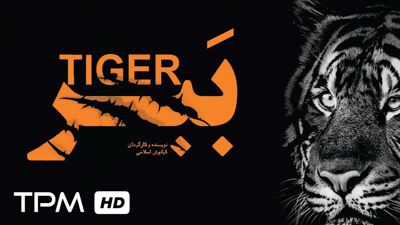 ببر،  تصمیمی که زندگی را نابود کرد – فیلم کوتاه روانشناختی