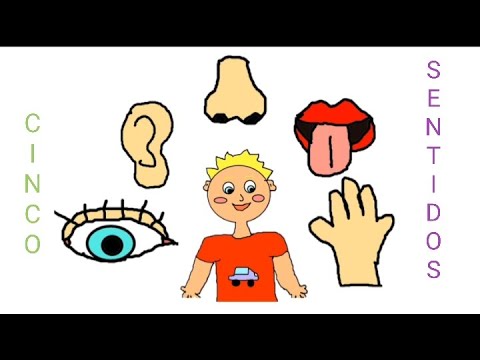 Aprendemos los CINCO SENTIDOS//con ejemplos más juegos¡