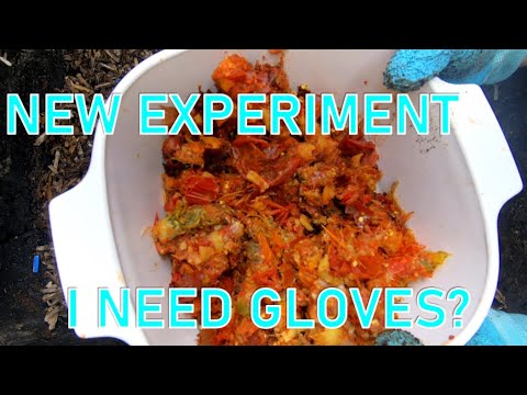 HELP ME NAME IT THE NEW WORM BIN EXPERIMENT