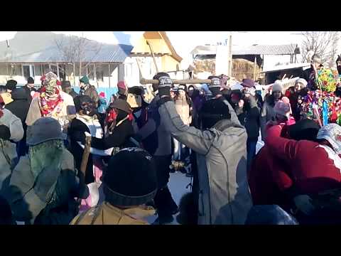 Capra de la Silistea + Armasoaia