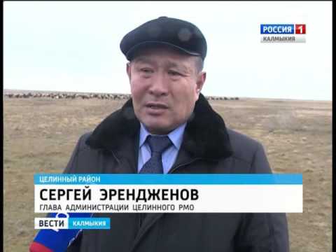 Вести «Калмыкия»: вечерний выпуск 15.12.2015