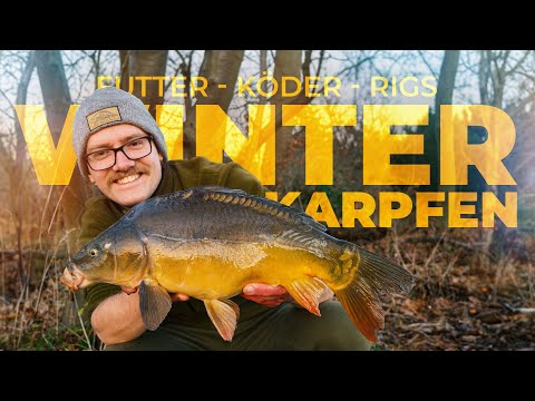 PROJEKT WINTER-KARPFEN - Futter, Köder, Rigs | TUTORIAL