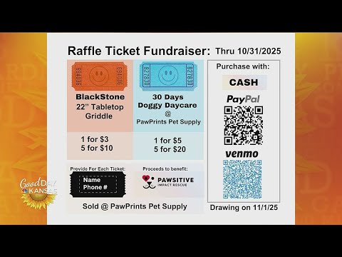 Furry Friends - Pawsitive Impact Rescue - YouTube