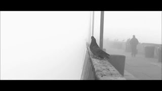 Barry Adamson - Claw and Wing