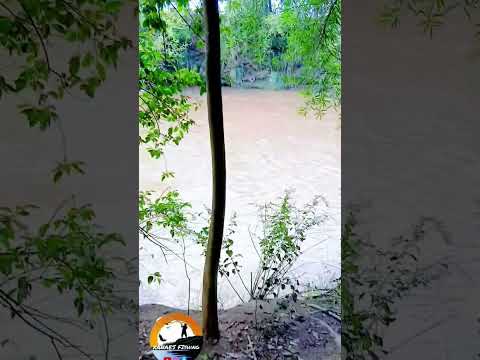 Conociendo nuevos lugares de pesca. Río Xanaes (Villa del Tránsito) #pesca #cordoba