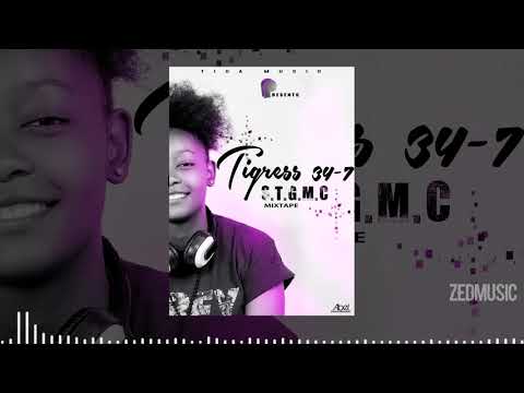 Tigress 34-7 - Warning Sign Vol. 3 [Official AUdio] || #ZedMusic (Download Link in the description)