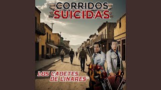 Caballo de Pancho Villa