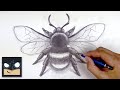 How To Draw a Bumble Bee | Sketch Sunday (Step by Step)