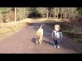 Best Friends - a kid, a dog and a puddle 