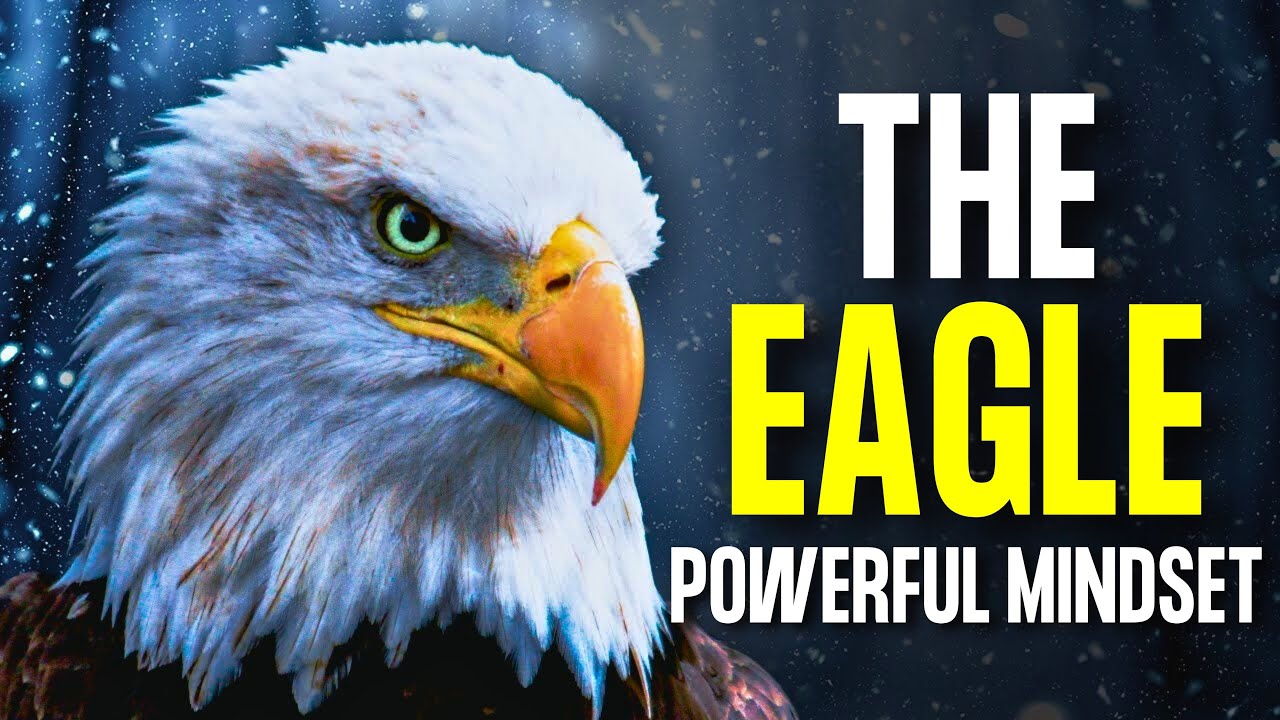THE EAGLE POWERFUL MINDSET | 5 LESSON ONCES SHOULD LEARN FROM EAGLE - BEST MOTIVATIONAL VIDEO
