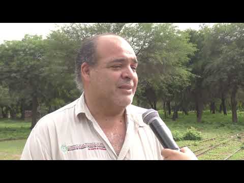 Alemanía: la presencia de guardaparques asegura la protección del ambiente en la zona