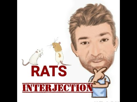 Rats - Interjections (153) Origin - English Tutor Nick P