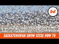 Video Thumbnail for Episode 115 // Mastering The Spring Snow Goose Migration ft. Prairie Sky Outfitters