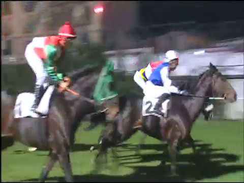 Galoppo 07/12/2016 - 5ª corsa