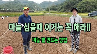 마늘심기전에 꼭 해야하는 것 (마늘밭 만드는법)