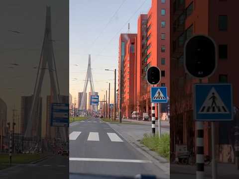 Rotterdam, 🇳🇱                             #europe #netherlands #holland #rotterdam #trip #travel