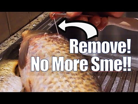 Catch, Clean, Cook and Eat Carp | Removing "Muddy" Smell