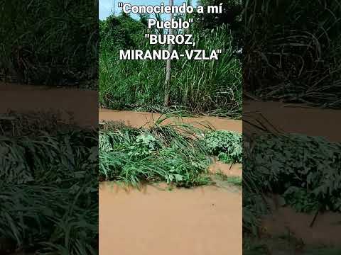 "Conociendo a mí Pueblo" "BUROZ, MIRANDA-VZLA"