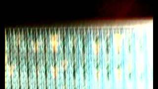 Tied & Tickled Trio - Yolanda by Philipp Geist (2000)