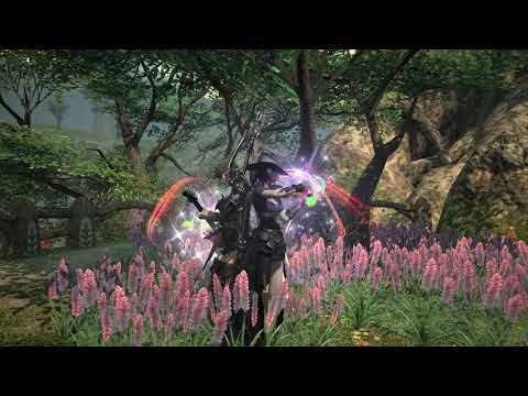 Persona 5 Royal - Ideal and the Real {FFXIV Duet}