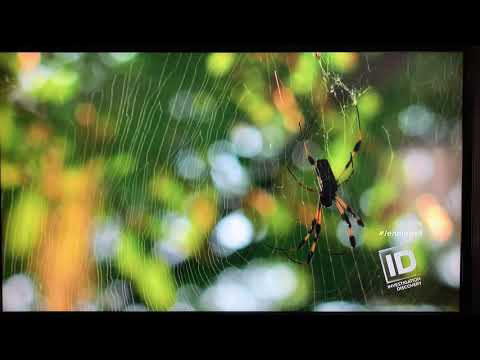 Forensic Profiler of Serial Killers Jennings 8