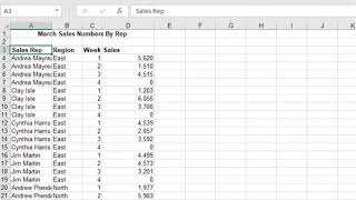 Filter Data with Header Drop-down Filters in Excel