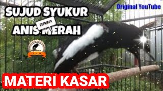 Download lagu PANCINGAN KACER LAMBAT PANAS || MATERI KASAR || COCOK BUAT LOMBA. mp3