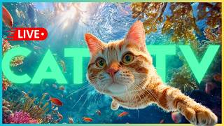 🔴 [LIVE] 24/7 UNDERWATER CAT TV 🐠 Calming Sleep Music for Cats - Anxiety Relief