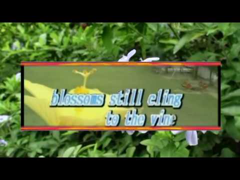 download lagu mp3 mp4 Karaoke In The Style Of John Denver, download mp3 Karaoke In The Style Of John Denver free download mp3, download mp3 Karaoke In The Style Of John Denver