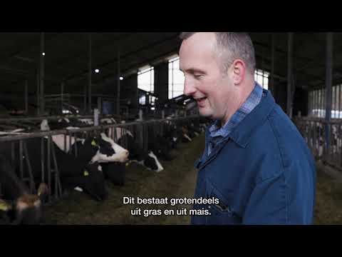 Duurzame melkveehouderij Drenthe Reind Katerberg