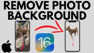 How to Remove Background from Photo on iPhone - iOS 16 Remove Background from Image