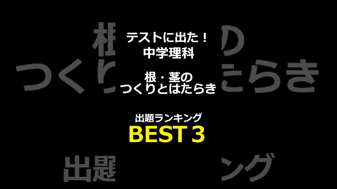 これ解ける？中学理科２分野｜根・茎のつくりとはたらき#中学理科#一問一答#理科#定期テスト対策#根・茎のつくりとはたらき