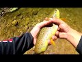 West Clear Creek Az 2019 Trout Fishing Mastodon Stairway To Heaven