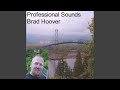 Springbrook