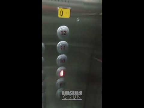 Elevator sound like melbourne bounce lead ( Remix by Timur Orun )