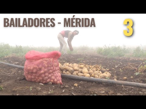 Mérida - Bailadores 3/5