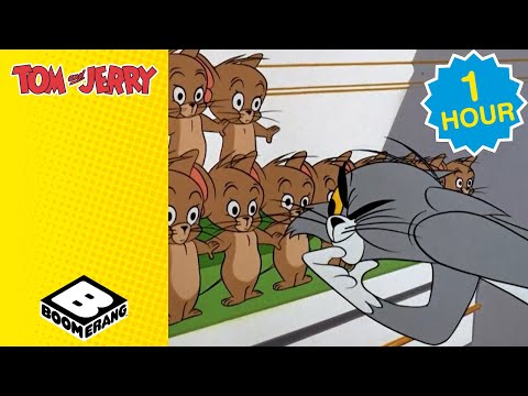 Tom Can't Find the Real Jerry | 1 HOUR Tom & Jerry Marathon | Boomerang UK