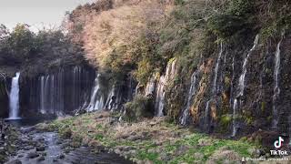 【自然】白糸の滝２