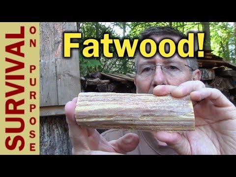 Why I Love Fatwood - The Best Firestarter - What Is Fatwood Anyway?
