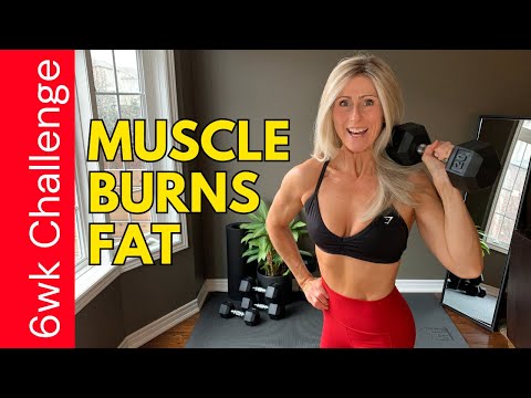 Weight training at home for strength & muscle 6 WEEK CHALLENGE!