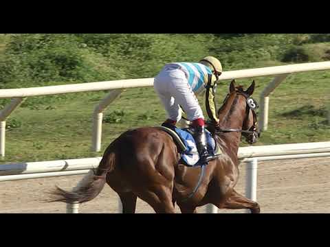 11/11/2017 – Hipodromo Las Piedras – Carr 6 – PARRANDERO PLICCK (2014)