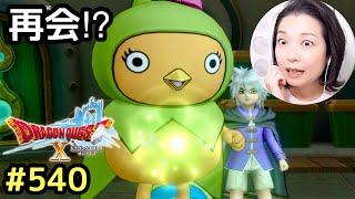 まさかの再会！？『ドラゴンクエスト10』顔出し女性実況 #540