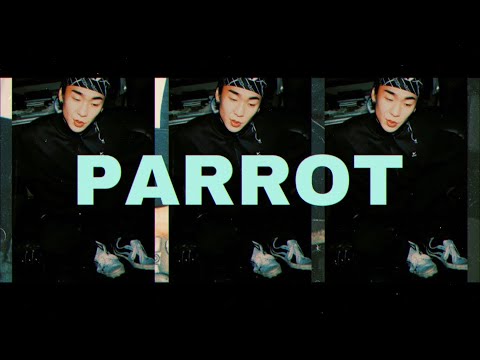 dsel - 패럿 (Parrot) [Official Music Video]