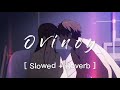 Ovinoy ( Slowed + Reverb )