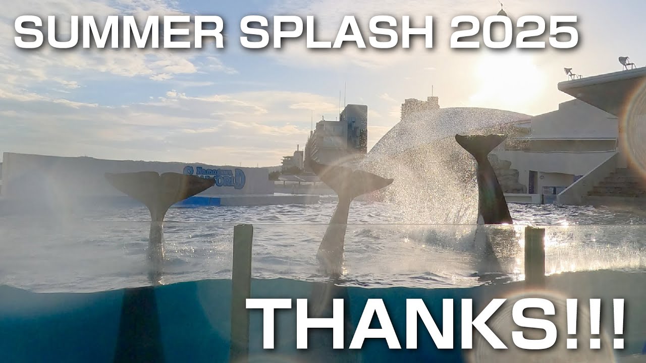 【3頭ver.】サマースプラッシュ終了！｜鴨川シーワールド公式