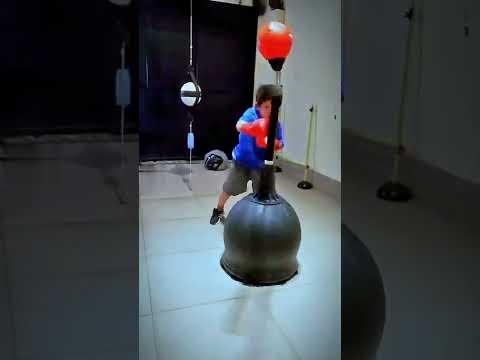 Title Boxing Rapid-Reflex Boxing Bar Tri-Bag Hipposworldstore #short #trend #viral #usa