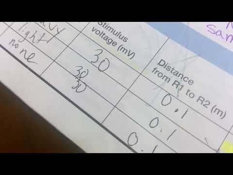 Physioex3 Neurophysiology