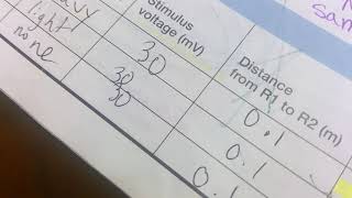 physioEx3- Neurophysiology