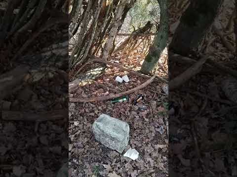 Szałas w lesie podmiejskim