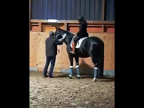 Schlangenlinien - drei Bogen sind langweilig? Nö!